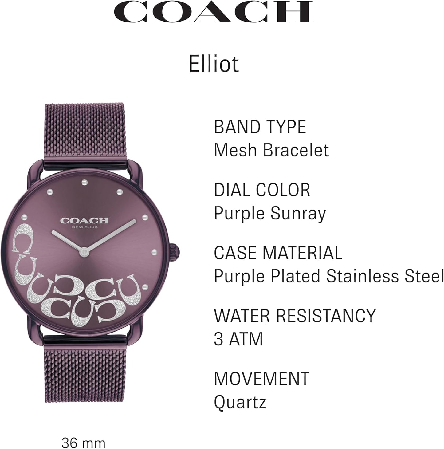 Coach 14504339