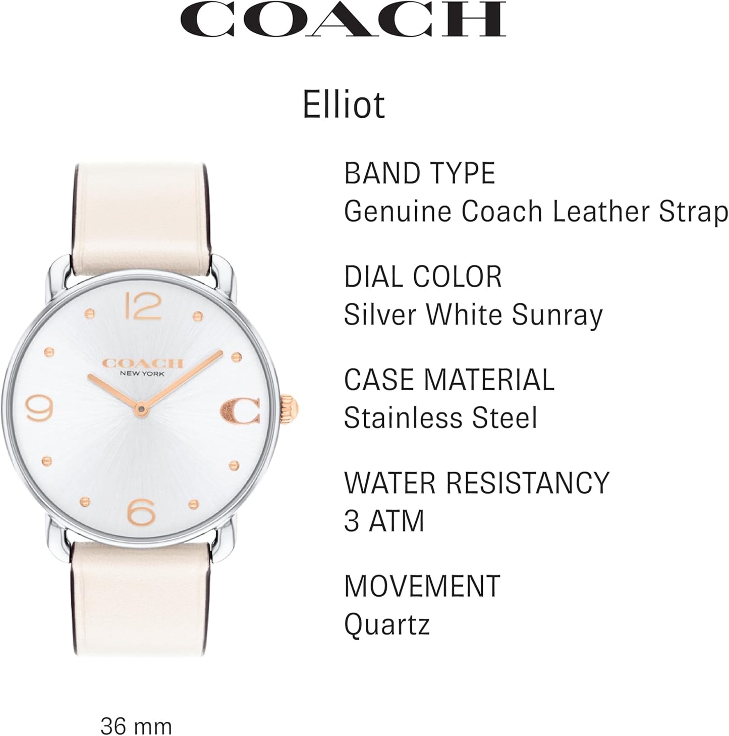 Coach 14504200