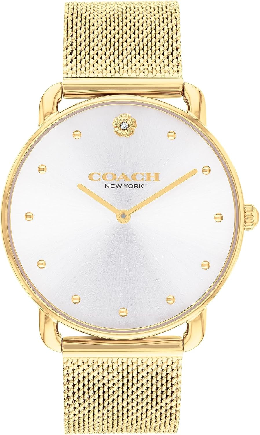 Coach 14504208