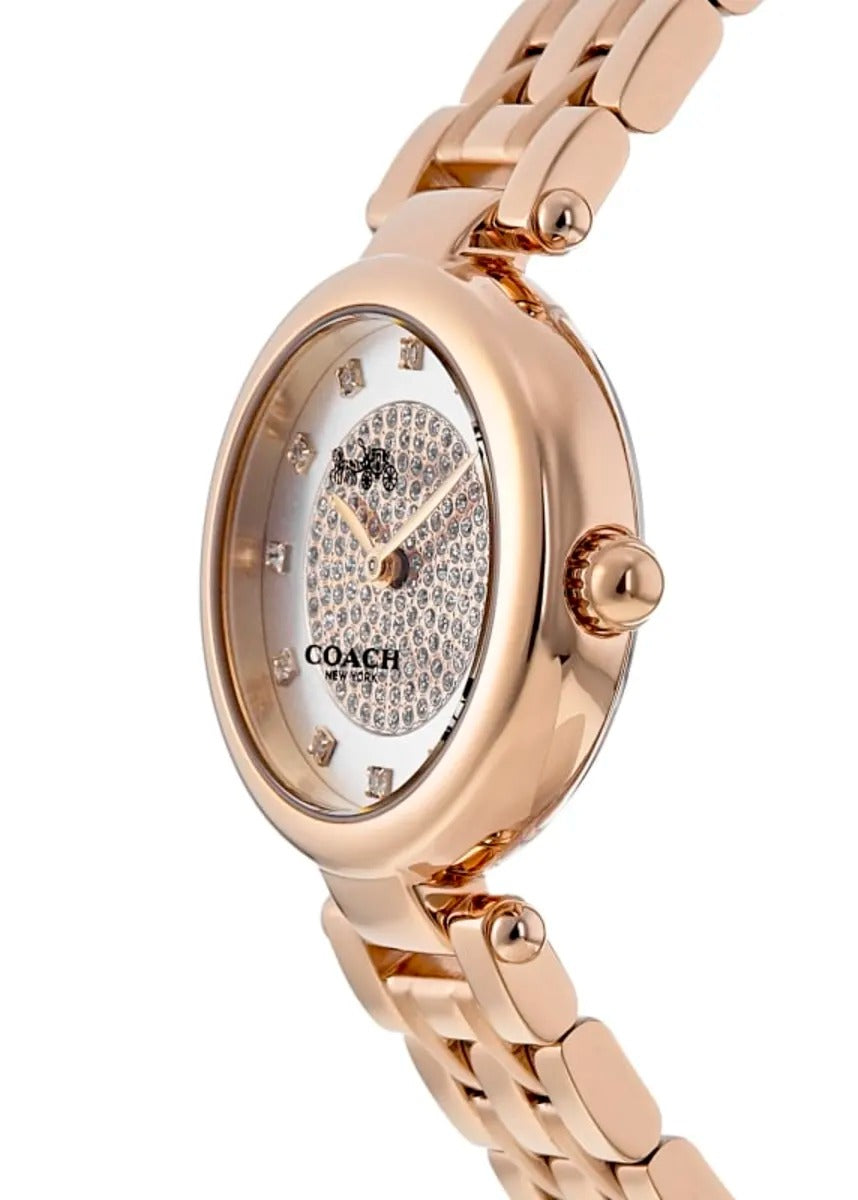 Coach Park Silver Dial Rose Gold Tone Steel