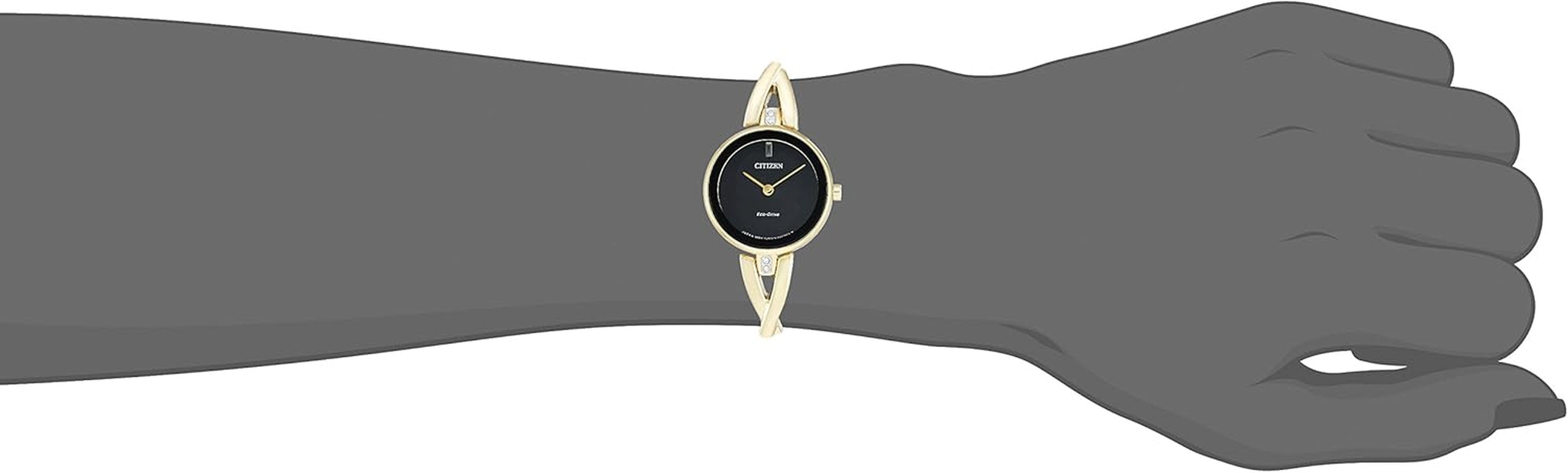 Citizen Eco-Drive EX1422-54E
